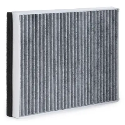 424I0413 2.webp - Alternative Part Numbers: 424I0413, 31369455, 31404958, 1709013, 1776360, 2504776, AV6N19G244AA , 31369456, 31404959