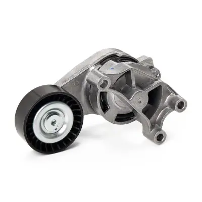 541V0011 , 06F903315 - Alternative Part Numbers: 541V0011, 06F903315