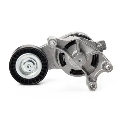 541V0011 4.webp - Alternative Part Numbers: 541V0011, 06F903315