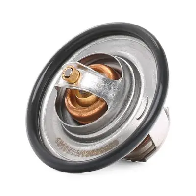 316T0044 , 050121113C , 050121113CS3 - Alternative Part Numbers: 316T0044, 050121113C, 050121113CS3