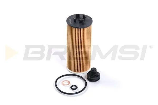 [(107211, 'OIL FILTER - (FL0266, 11428570590, 11428575210)')]