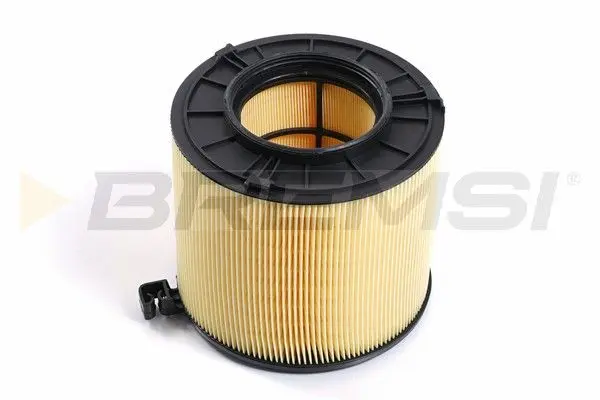 AIR FILTER (FA1173)