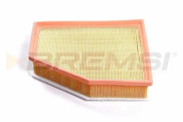 AIR FILTER (13718577170)