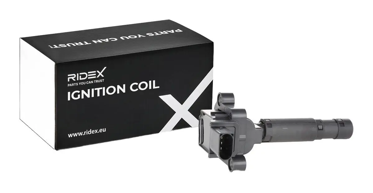 IGNITION COIL (689C0407)