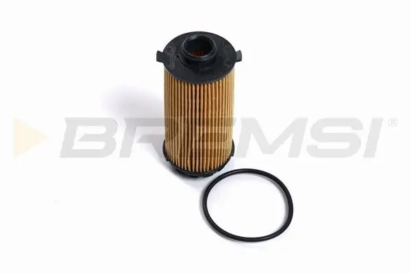 OIL FILTER (FL2548)
