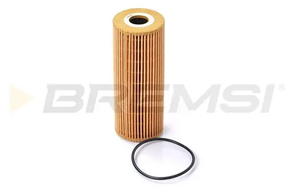 OIL FILTER (FL0702)