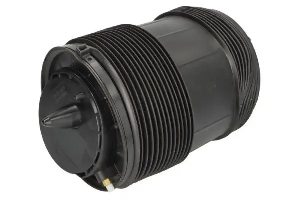 REAR AIR SPRING SUSPENSION (4M0616001P)