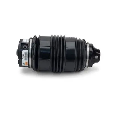 REAR AIR SPRING SUSPENSION (2113200925)