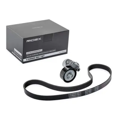 TENSIONE WITH V-BELT (542R0463)
