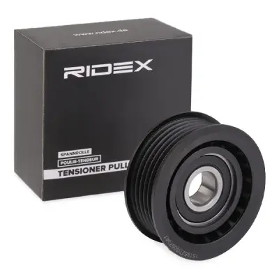 TENSIONER PULLEY (312D0006)