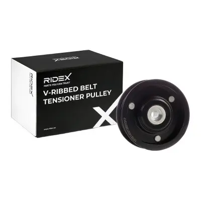 TENSIONER PULLEY (310T0229)