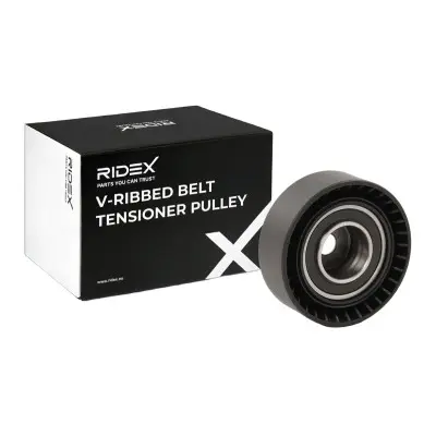 TENSIONER PULLEY (310T0026)