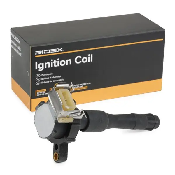 IGNITION COIL (689C0010)