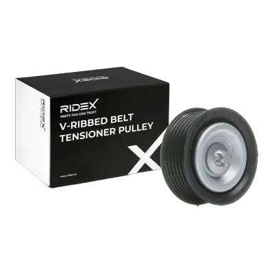 TENSIONER PULLEY (310T0494)