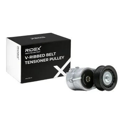 TENSIONER  (310T0501)