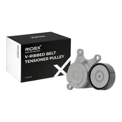 TENSIONER  (310T0562)