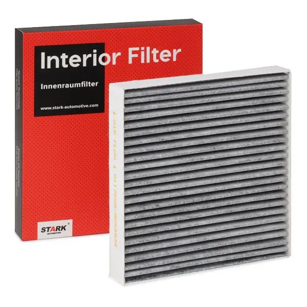 AC FILTER (SKIF-0170336)