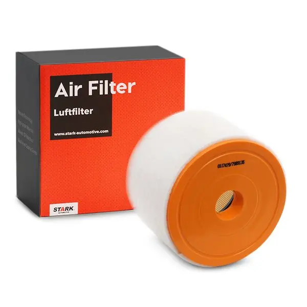 AIR FILTER (SKAF-0060409)