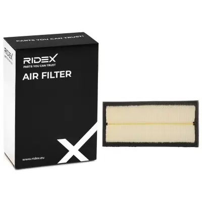 AIR FILTER (LR011593)