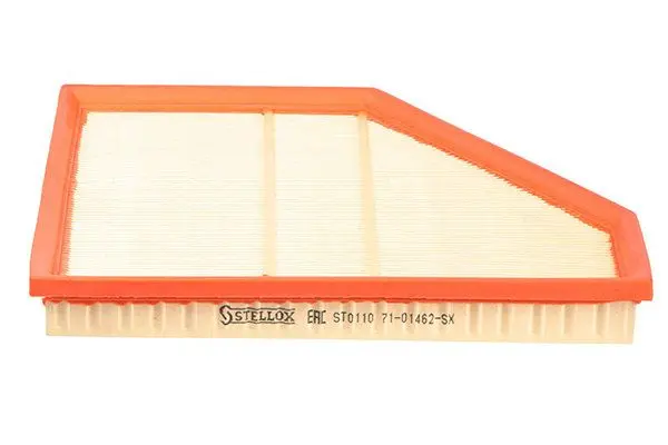 AIR FILTER (13717548898)