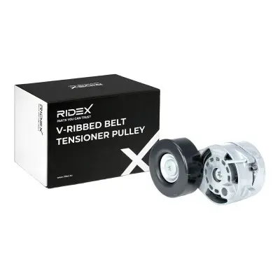 TENSIONER - 310T0201, 06E903133A , 06E903133AG , 06E903133B , 06E903133E , 06E903133L , 06E903133N , 06E903133Q , 06E903133R , 06E903133T , 6E903133A , 6E903133B , 6E903133D , 6E903133E , 6E903133Q  , 95810236120, 95810236130, 95810236131