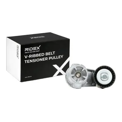 TENSIONER  - 310T0377, 11287599097, 11288604266