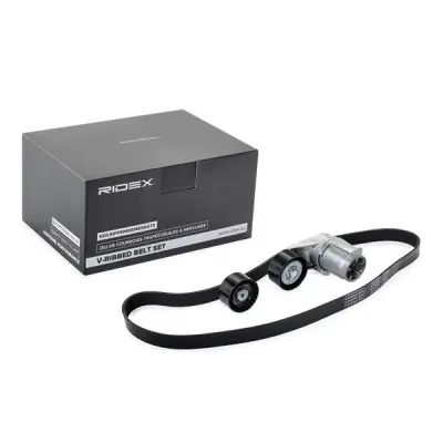 TENSIONE WITH V-BELT - 542R0556, 11287589361, 11287589366, 11287599097, 11287628661, 11288604266, 11288604267, 11288673720