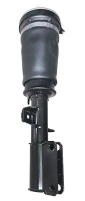 FRONT AIRMATIC - 37116761443, 37116761443(BMW), 37116757501