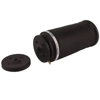 REAR AIR SPRING SUSPENSION - 1643200625, 1643200225, 1643200425, 1643200625(MERCEDES-BENZ), 1643200725, 1643200825, 164320082564, 1643200925, 1643201025, 1663200325