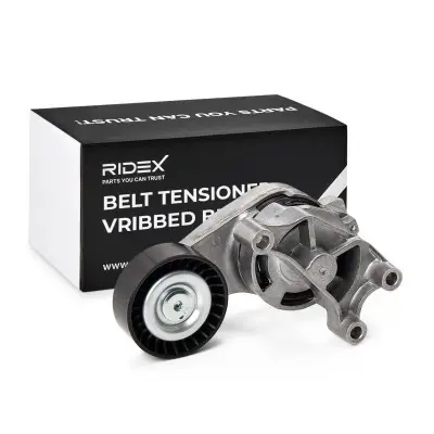 TENSIONER - 541V0011, 06F903315